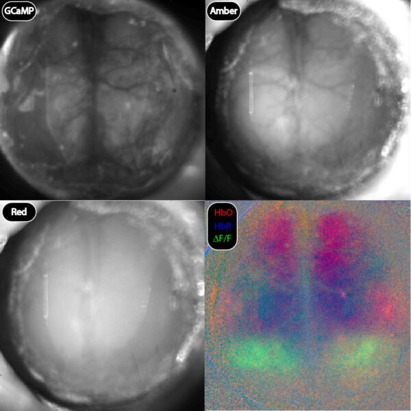 Modular Optical Imaging System - LabeoTech
